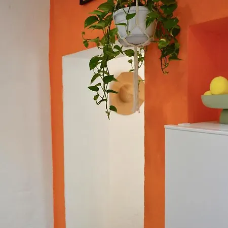 Nemo Flat - Walking To The * 산타마르게리타리구레